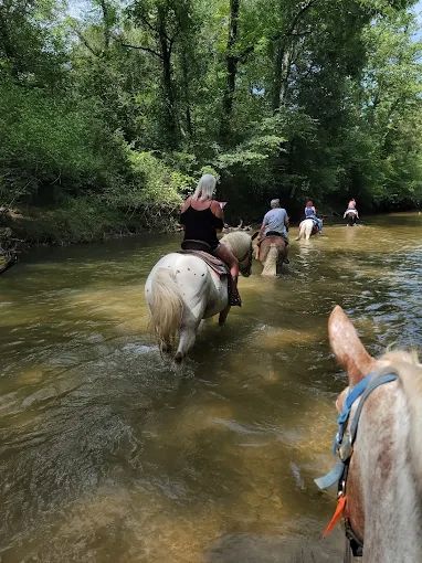 Adventurious Activities